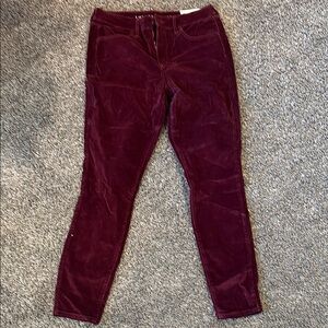 Burgundy Velvet Pants
